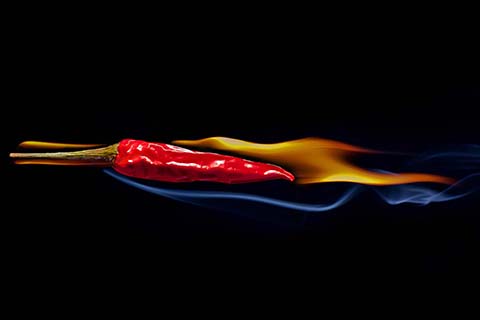 Still, black Fotograf Fotografie Frankfurt